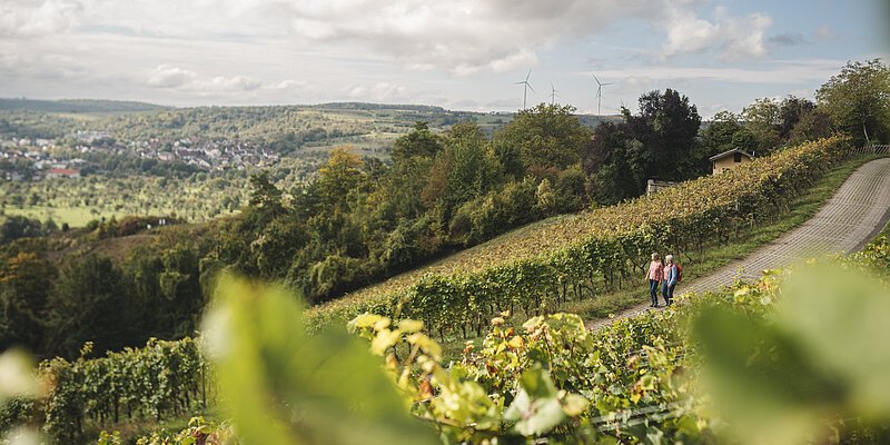 Zwei Frauen wandern auf dem Weinbergsweg Zwei Frauen wandern auf dem Weinbergsweg