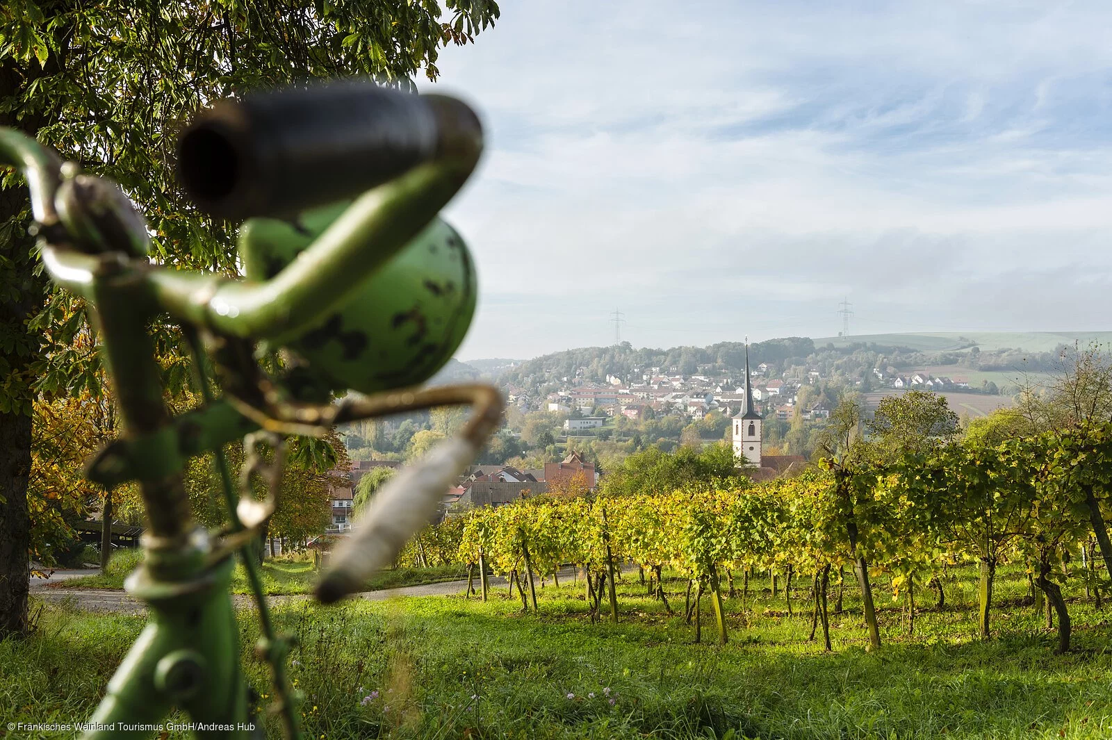 Weinberge im Herbst