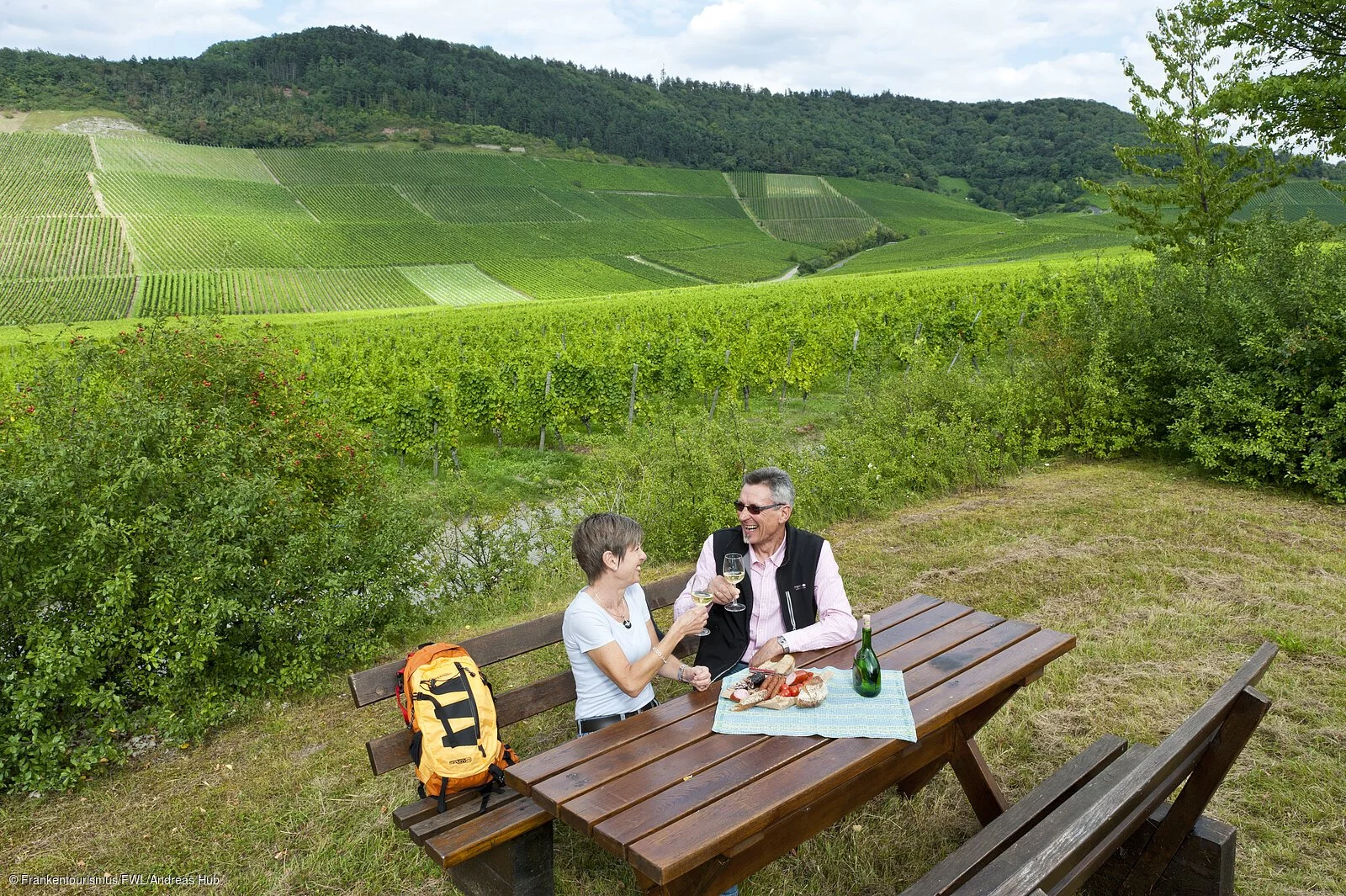 Rast in den Weinbergen bei Iphofen