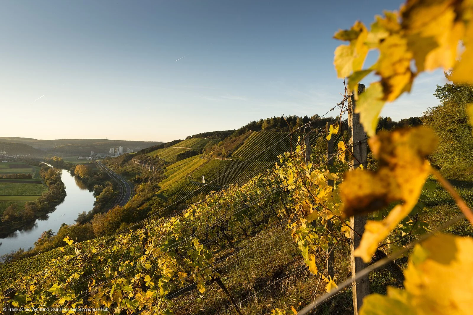 Weinberge bei Retzbach