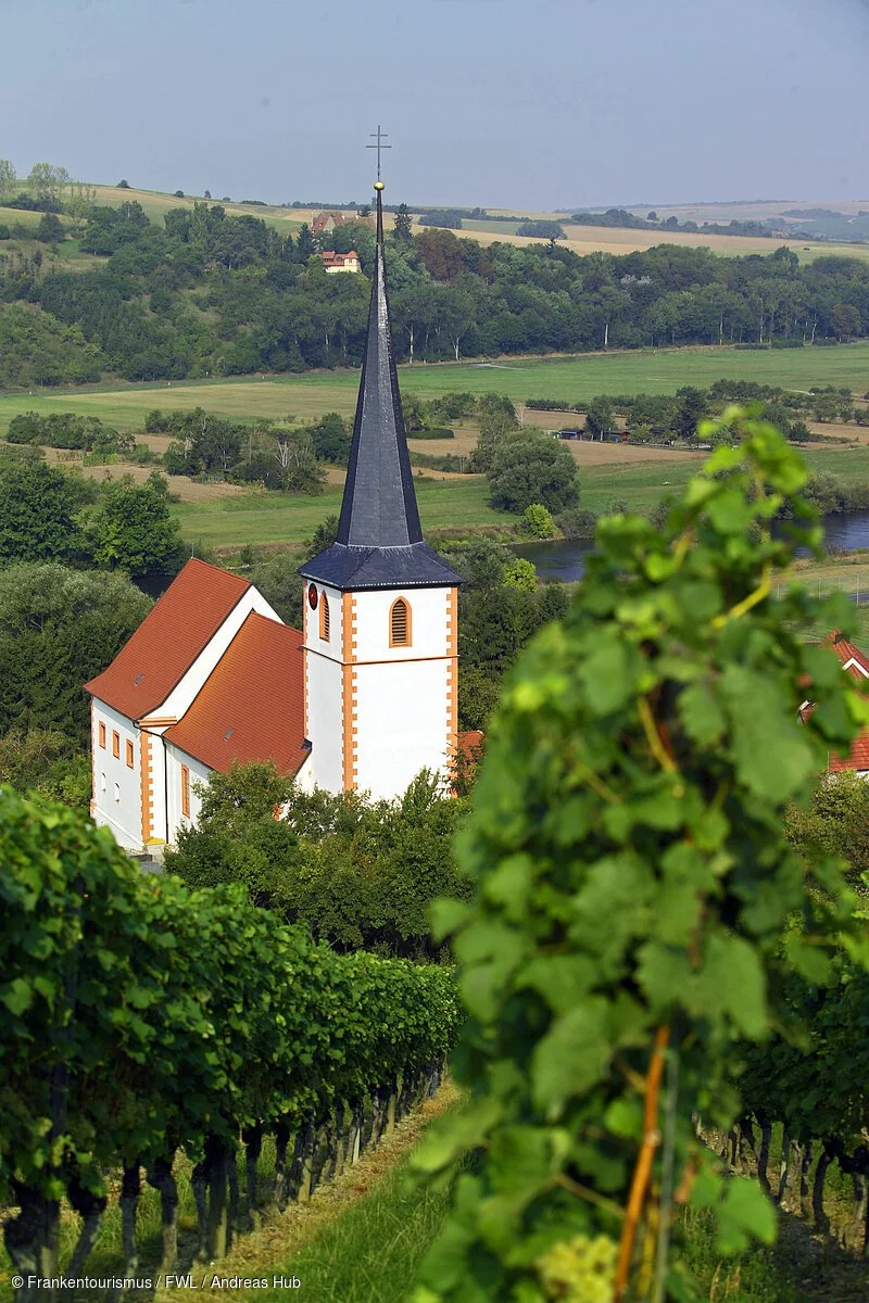 Weinberge bei Stammheim