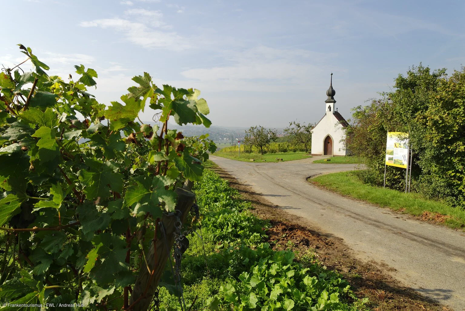 Weinberge bei Lindach