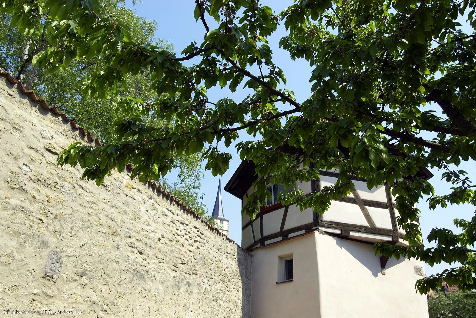 Stadtmauer Iphofen