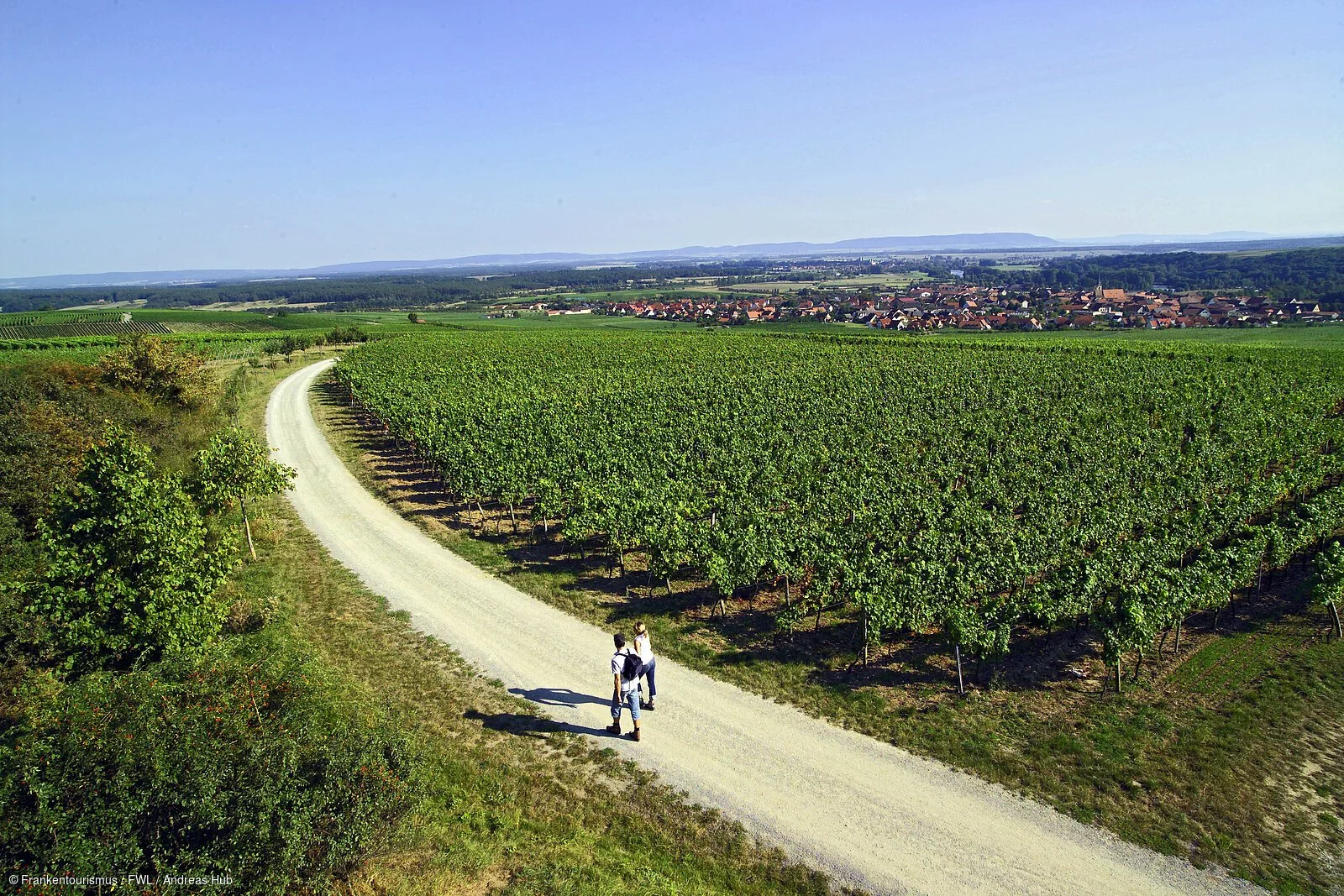 Wandern in den Weinbergen bei Sommerach