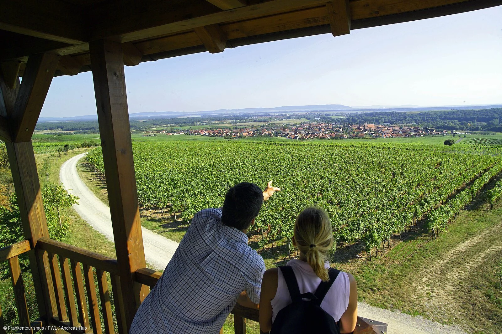 Weinberge bei Sommerach