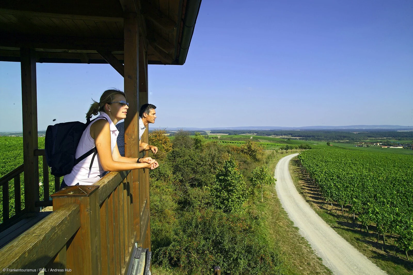 Weinberge bei Sommerach