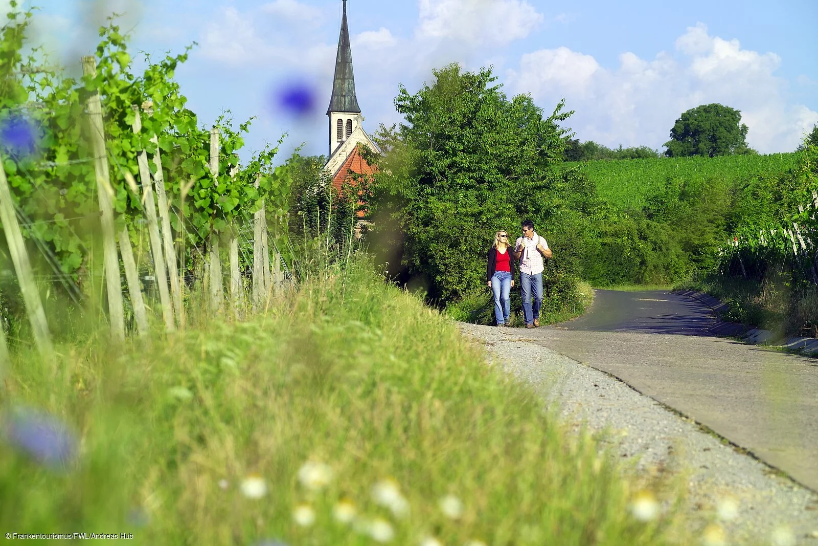 Wandern in den Weinbergen