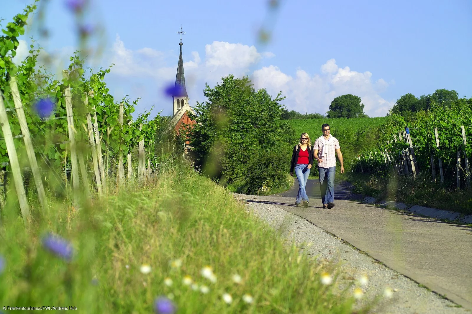 Wandern in den Weinbergen