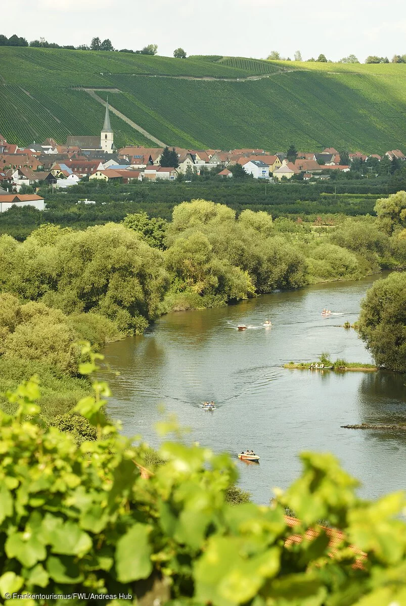 Spaß an der Volkacher Mainschleife