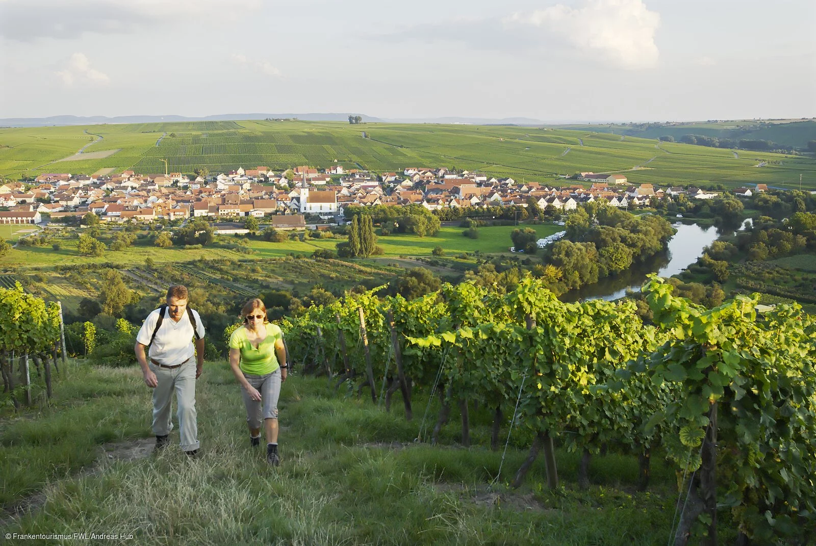 Wandern an der Volkacher Mainschleife