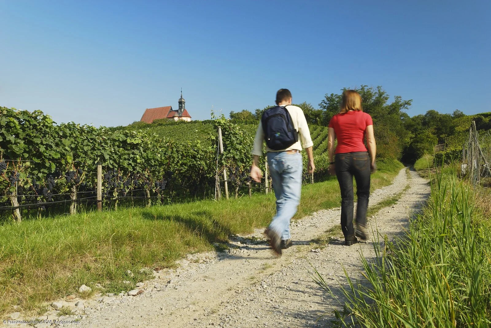 Wandern an der Volkacher Mainschleife