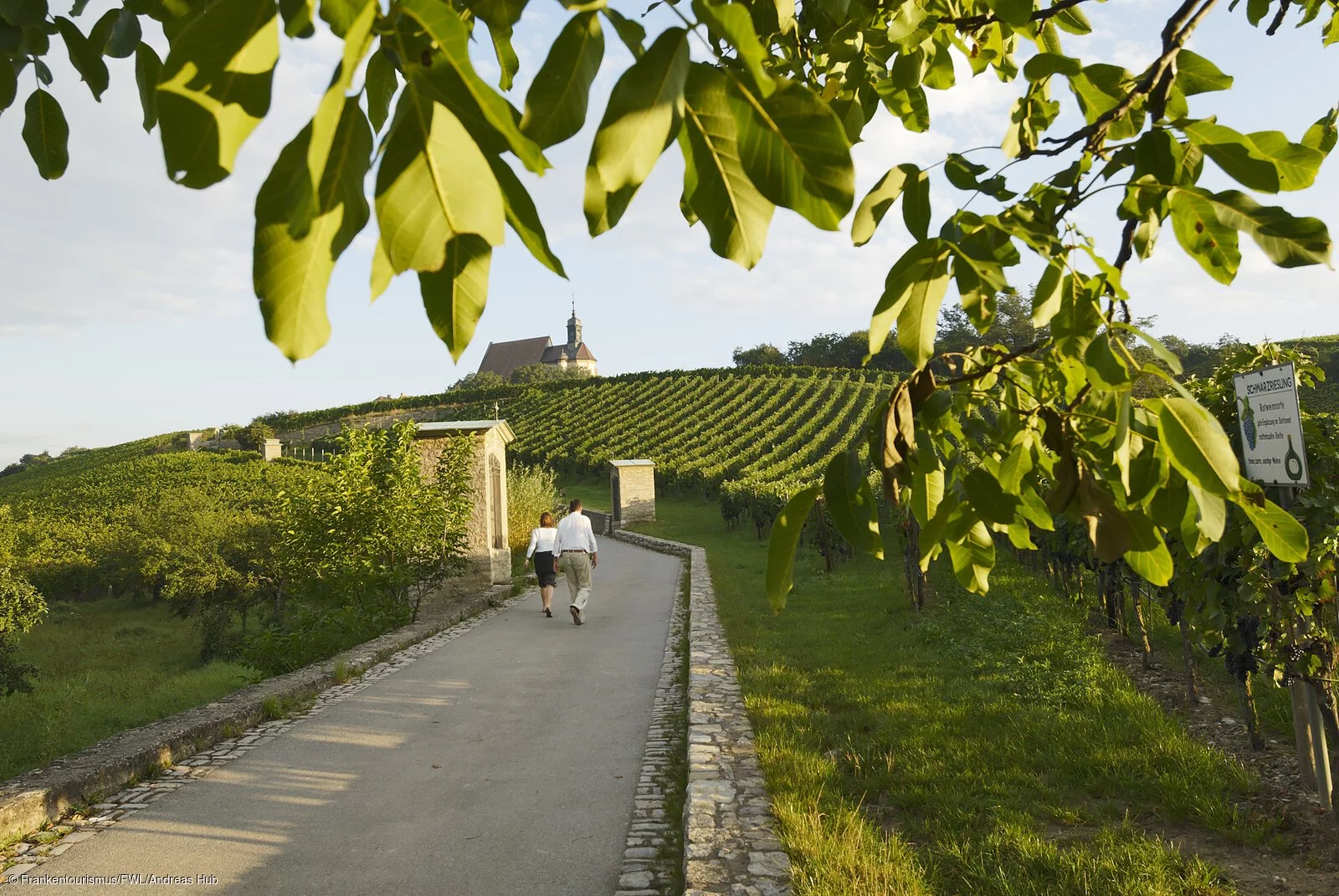 Spaziergang an der Volkacher Mainschleife