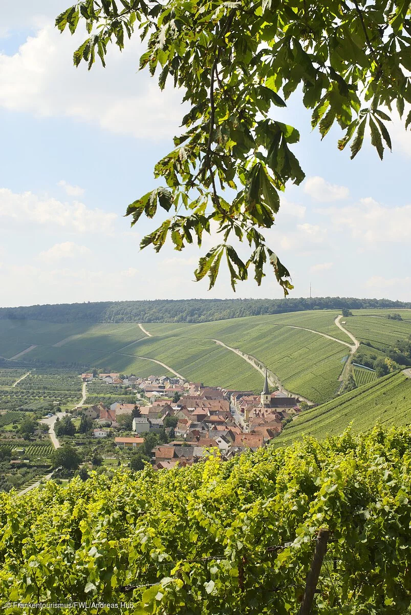 Blick auf Escherndorf