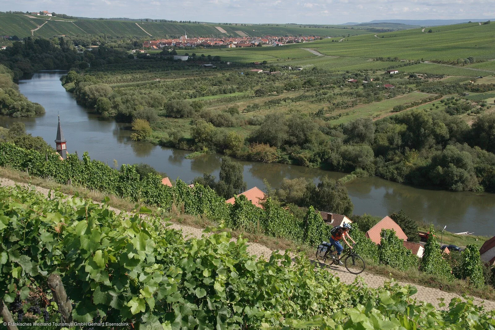 Mit dem Rad durch die Weinberge