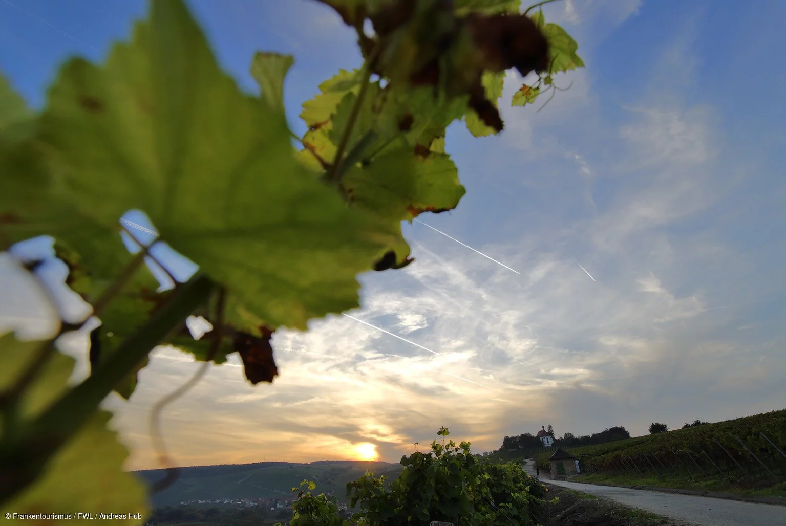 Abendstimmung bei der Vogelsburg