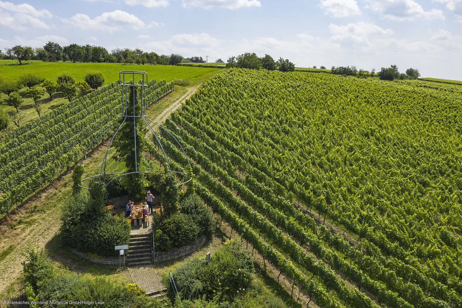 In den Weinbergen bei Stammheim