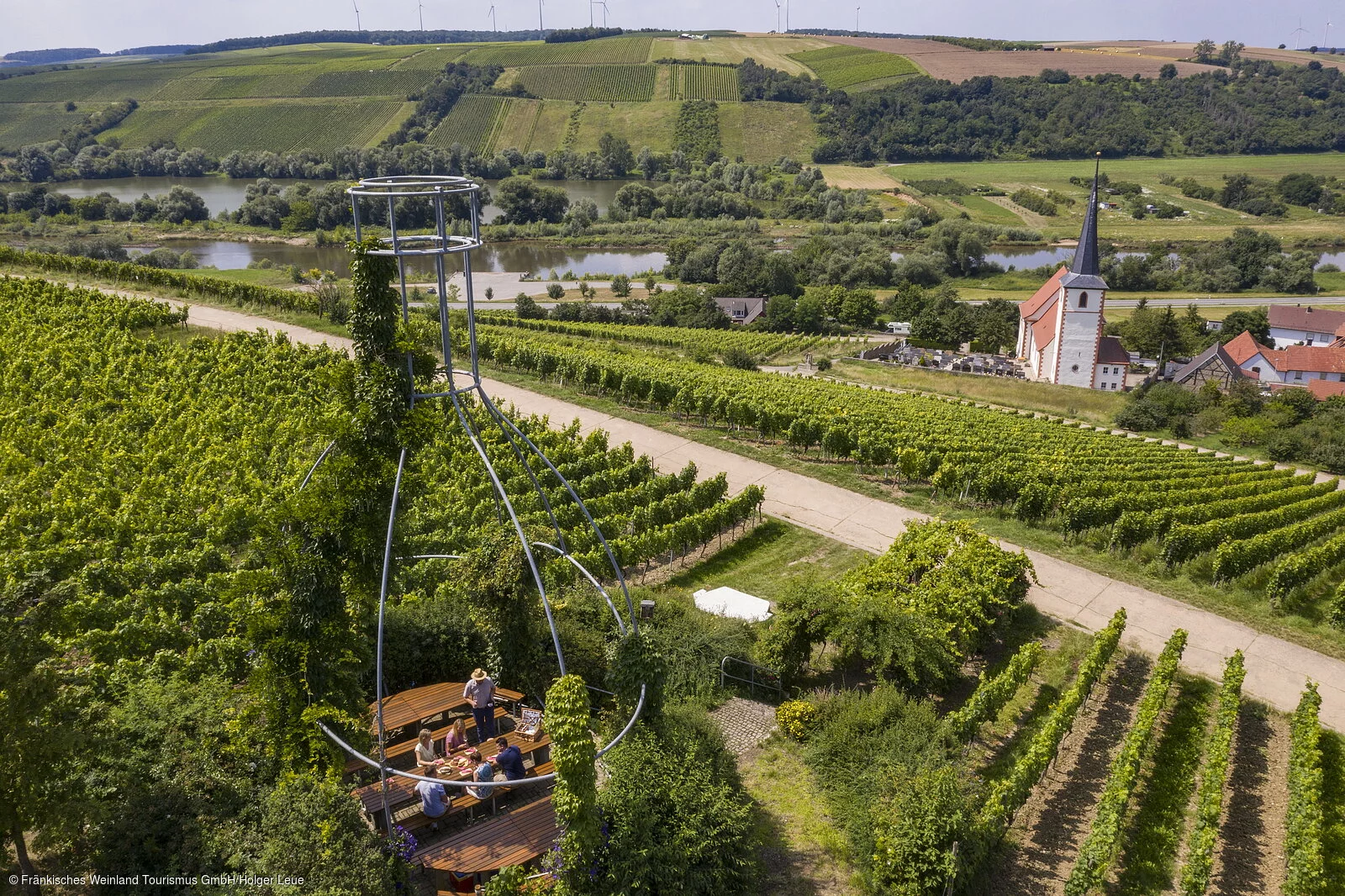 Weinberge bei Stammheim