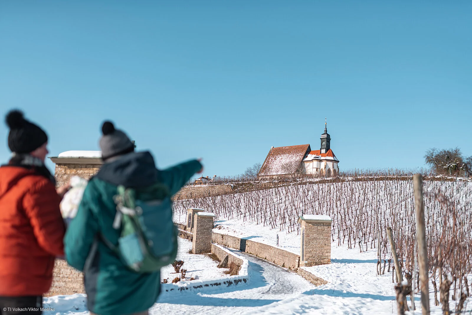 Wandern in den winterlichen Weinbergen an der Volkacher Mainschleife