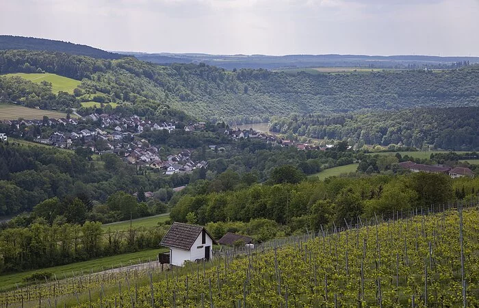 Weinwandern Wertheim/Lindelbach Holger Leue