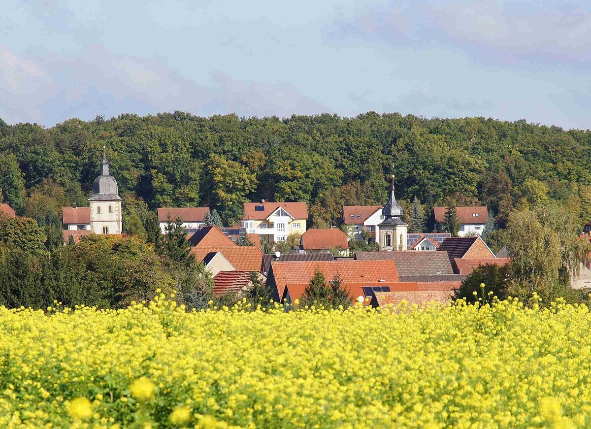 Blick auf Euerbach (Fränkisches Weinland)