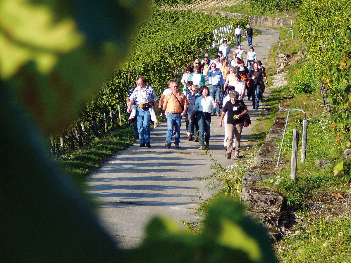 Retzstadt Weinwandern