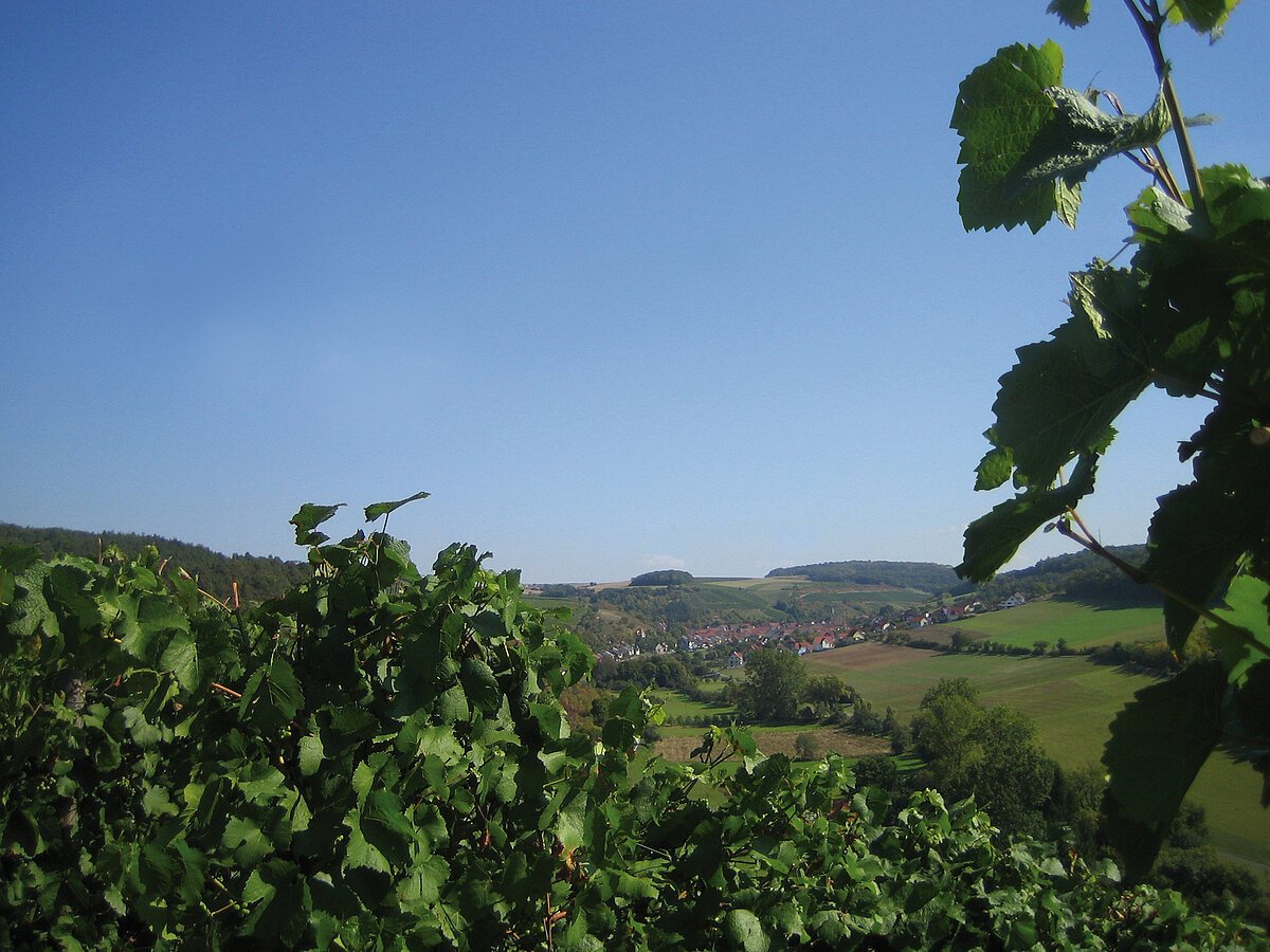 Retzstadt Besinnungsweg Foto Herbst