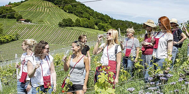 Weinbergswanderung