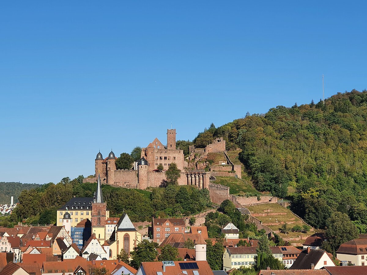 Burg Wertheim