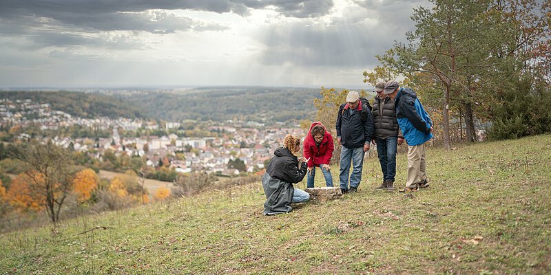 Wandern in Marktheidenfeld