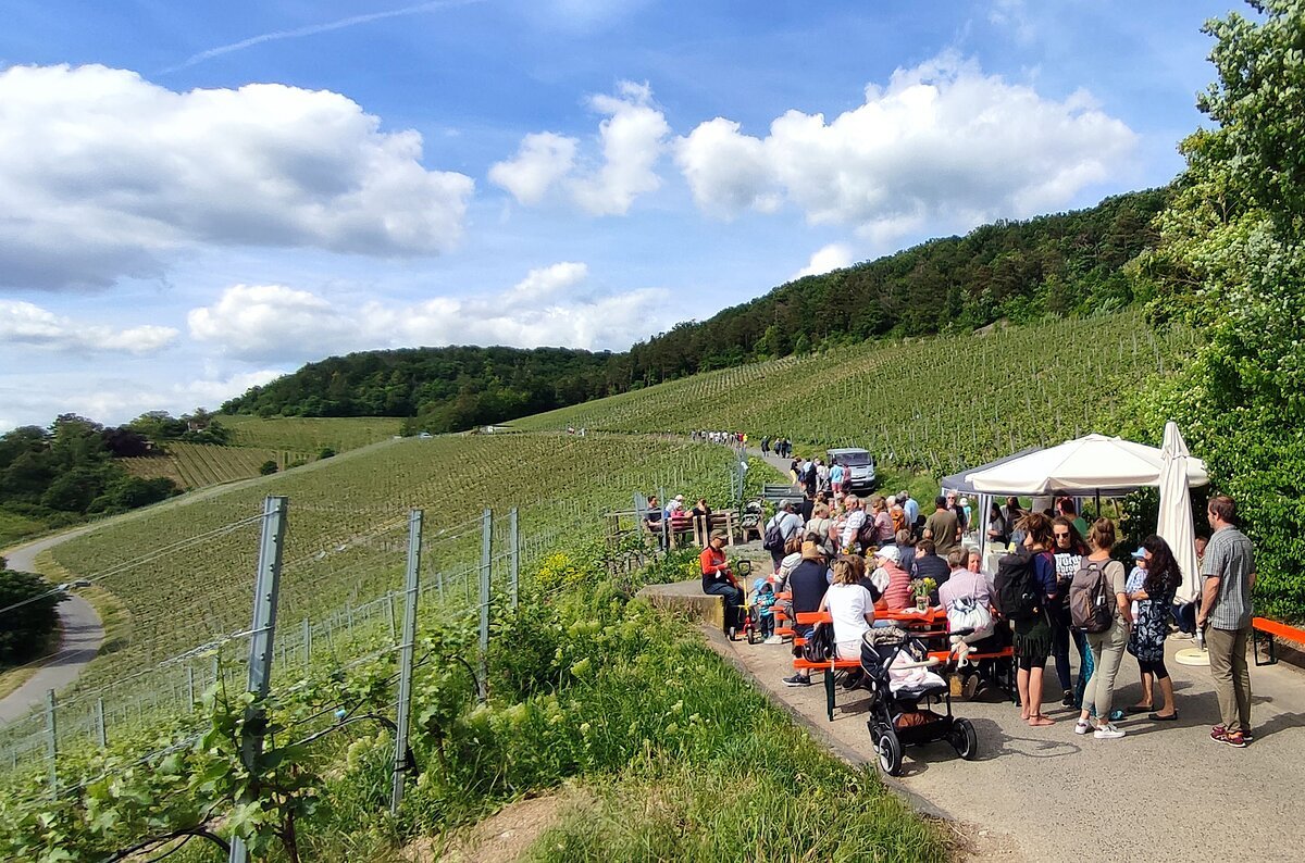 Weinschlendern am Sonnenschein