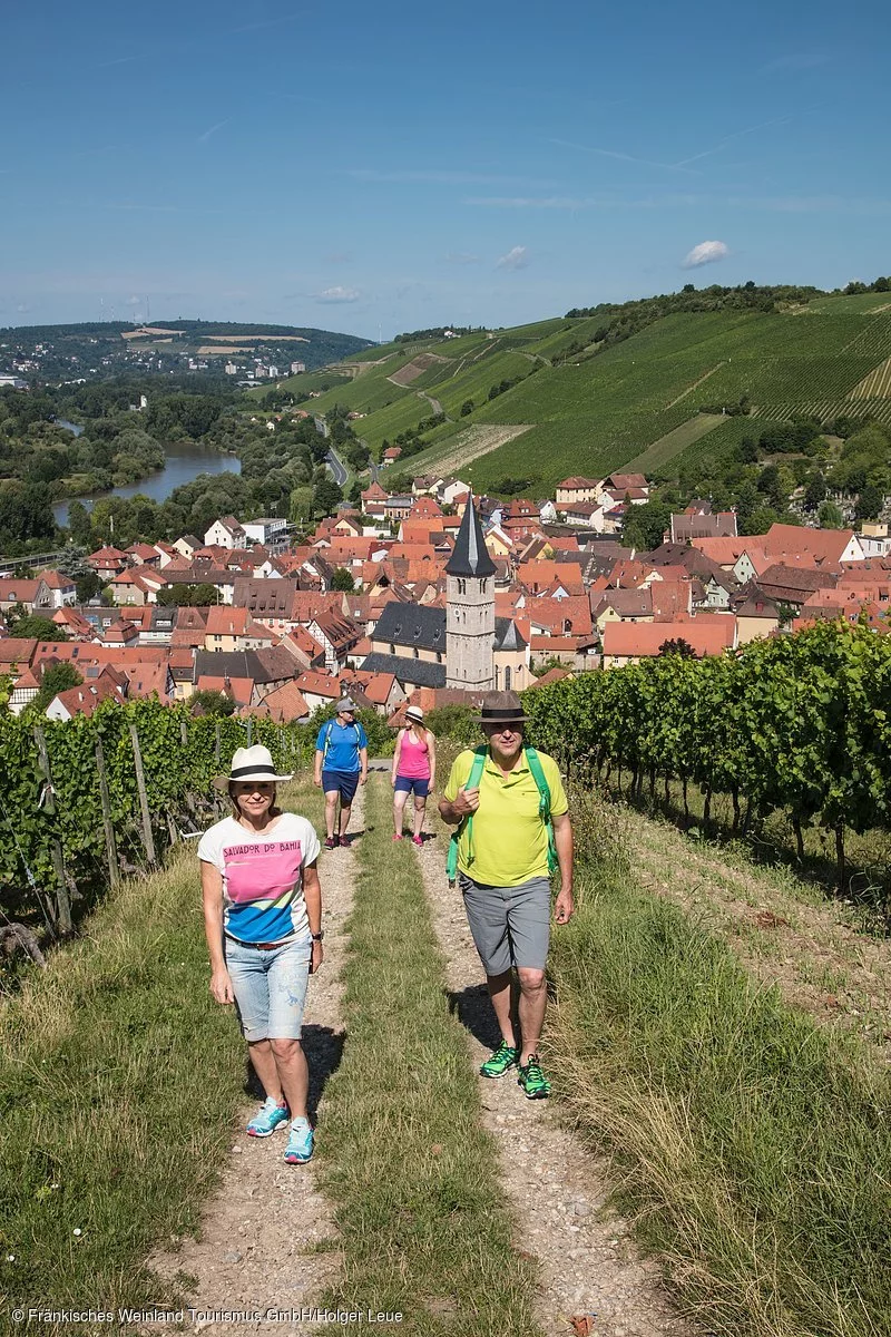 Wandern in den Weinbergen bei Randersacker