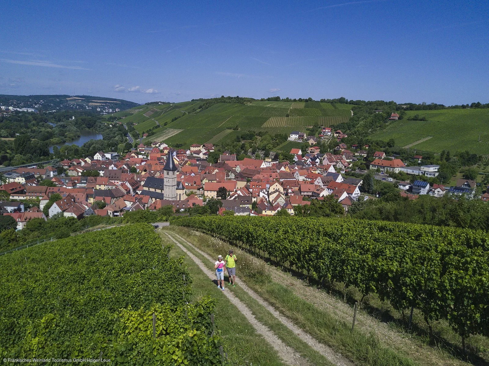 Wandern in den Weinbergen bei Randersacker