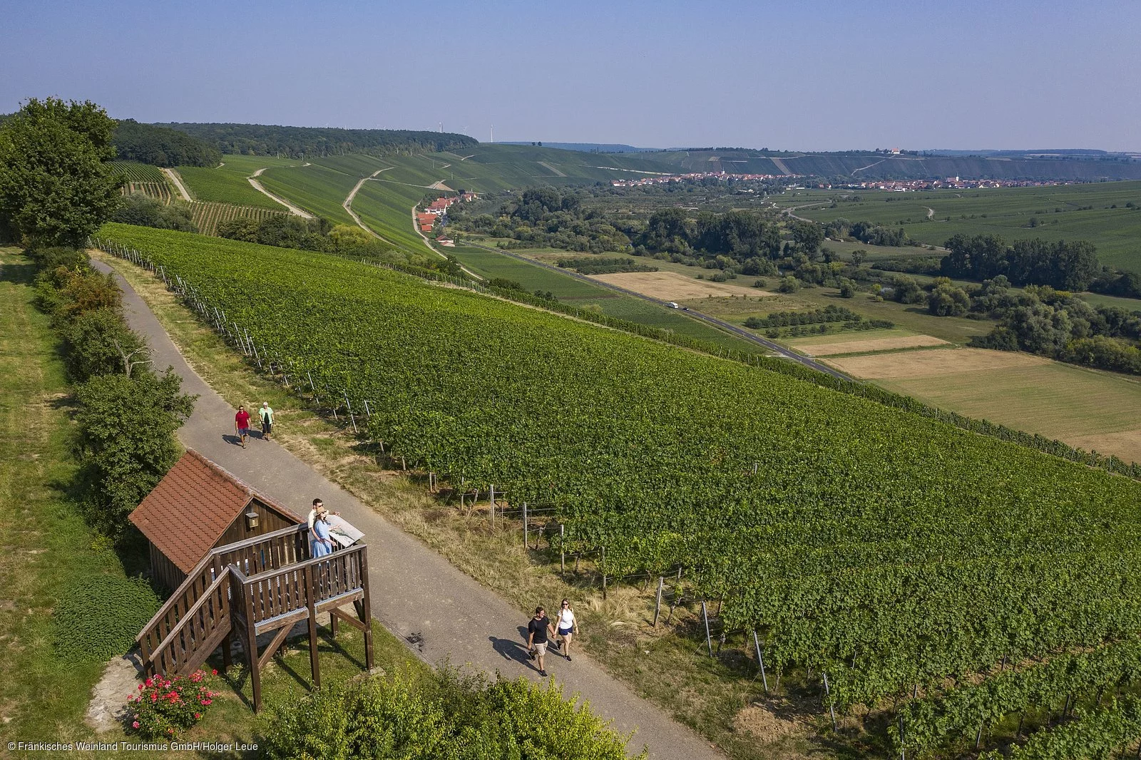 Wandern in den Weinbergen