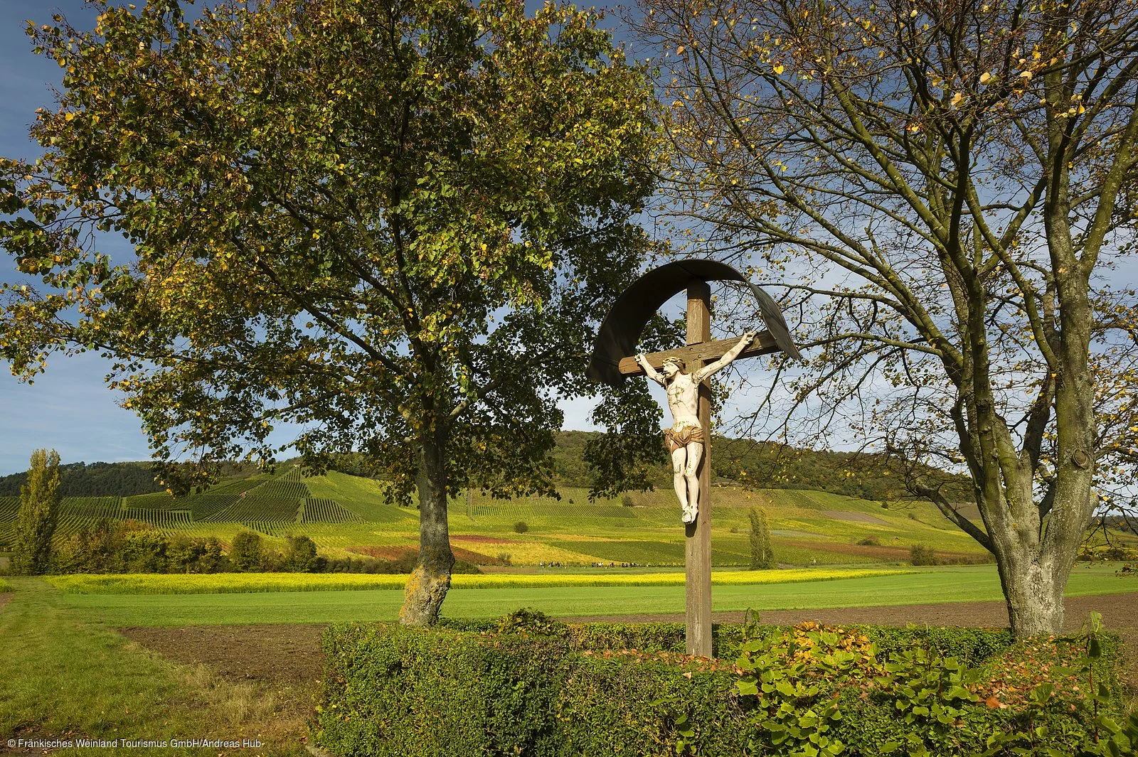 Herbstlandschaft bei Frickenhausen a. Main