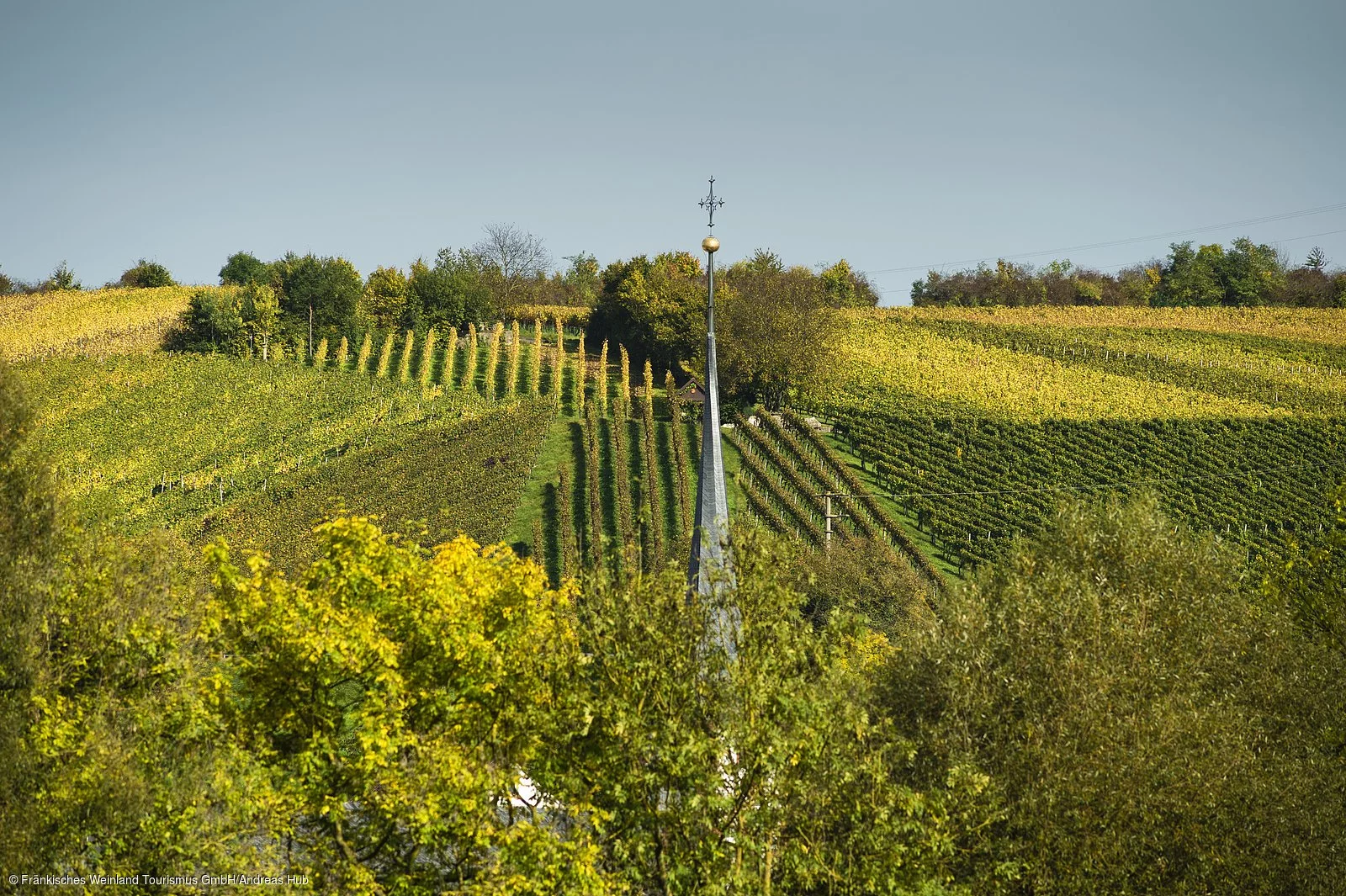 Weinberge bei Frickenhausen a. Main