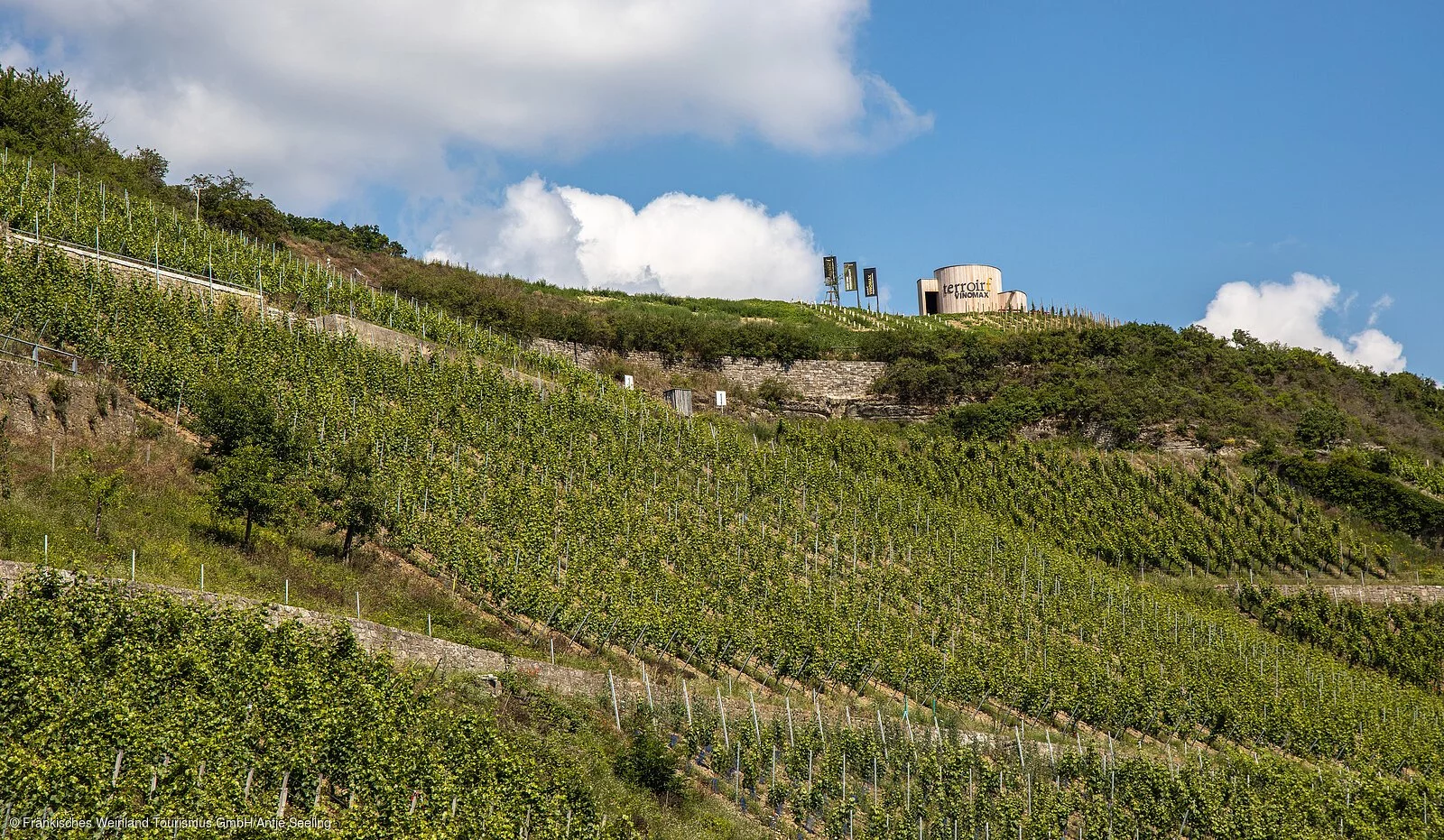 terroir f Thüngersheim