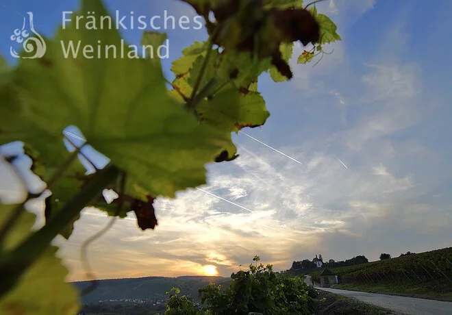 Abendstimmung bei der Vogelsburg