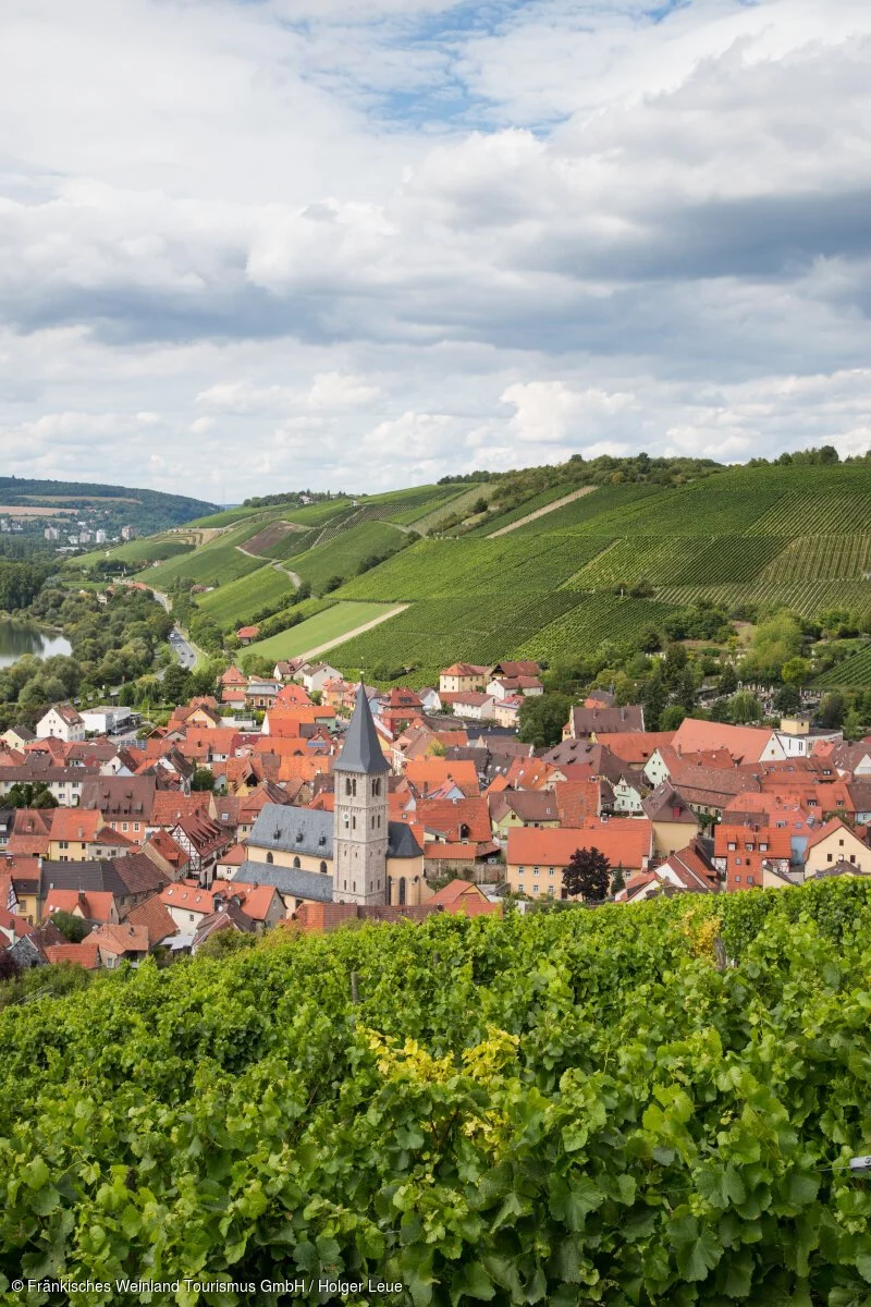 Blick über Weinberge auf Randersacker