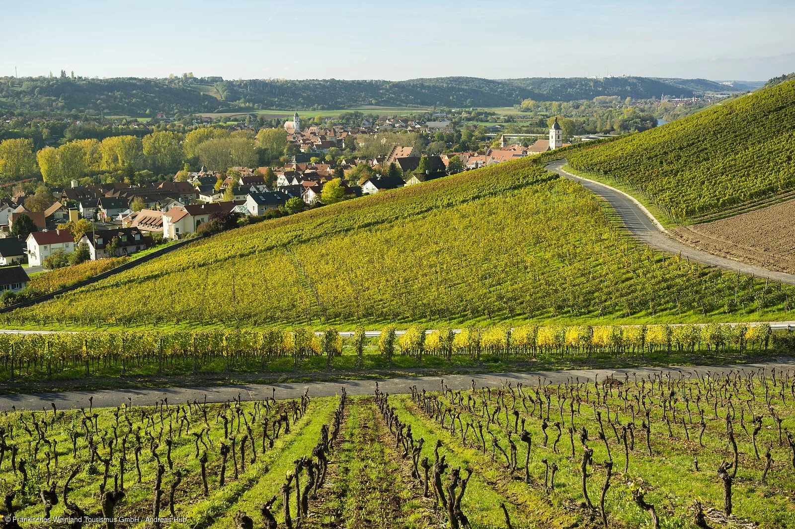 Blick auf Sommerhausen und Winterhausen