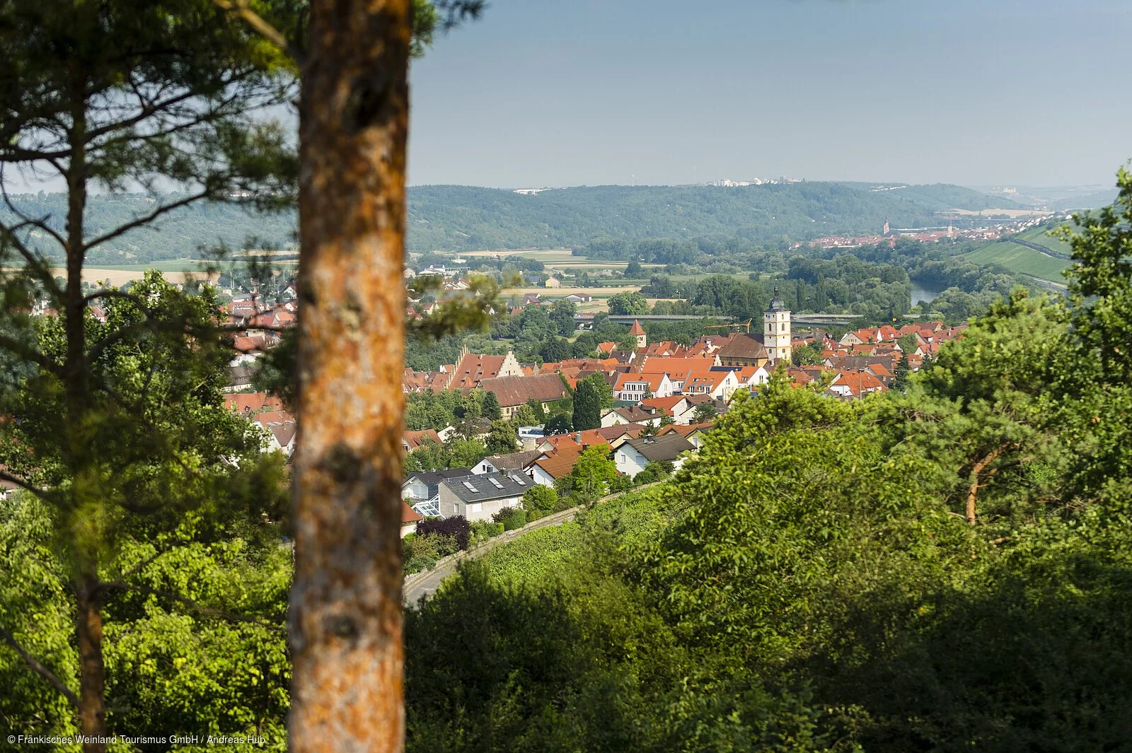 Terroir F - Blick nach Sommerhausen