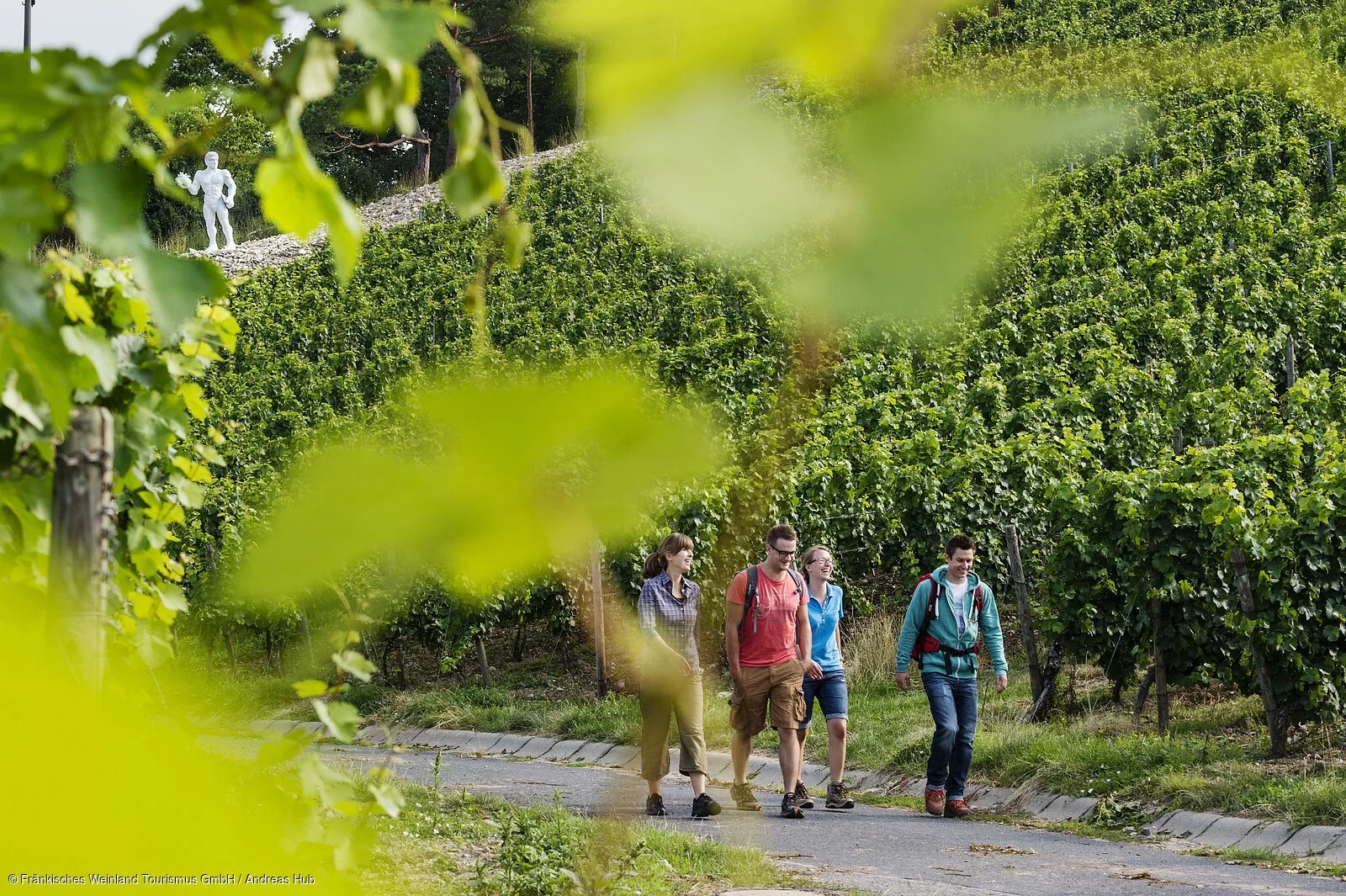 Wandern in den Weinbergen von Sommerhausen